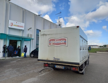 Gelmar